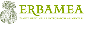 Erbamea
